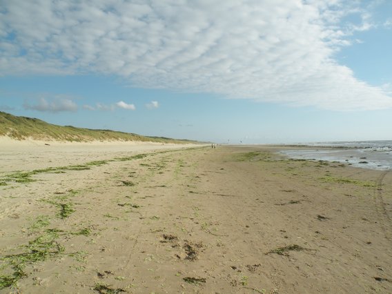  la belle plage sauvage au-delà du Novotel